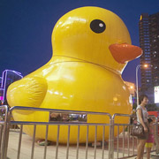 inflatable promotion duck